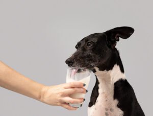 Esta mujer le da un vaso de leche a su perro.
