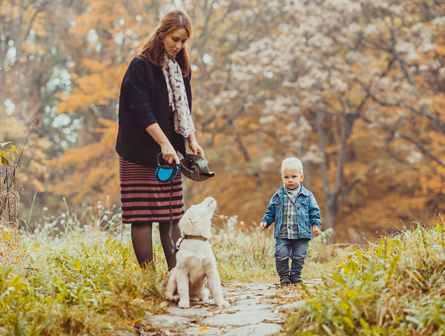 Esta madre ha salido con su hijo pequeño y el perro a dar un paseo por el bosque. Parece que se divierten.
