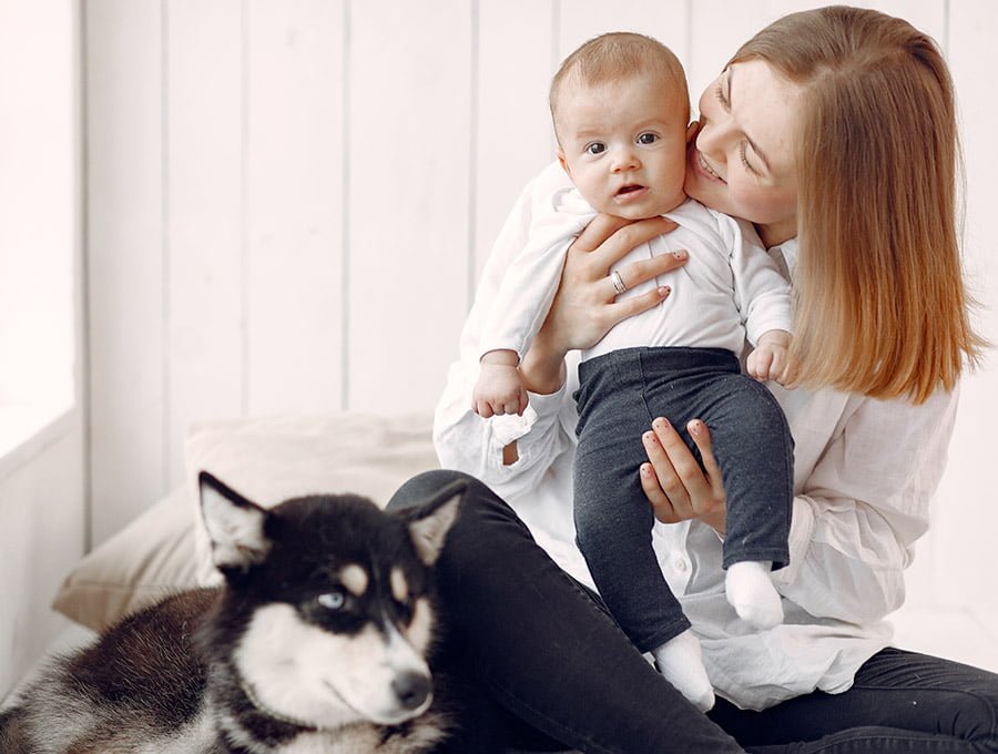 ¿Cuándo puede jugar el bebé con el perro? Con importante información de seguridad
